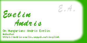 evelin andris business card